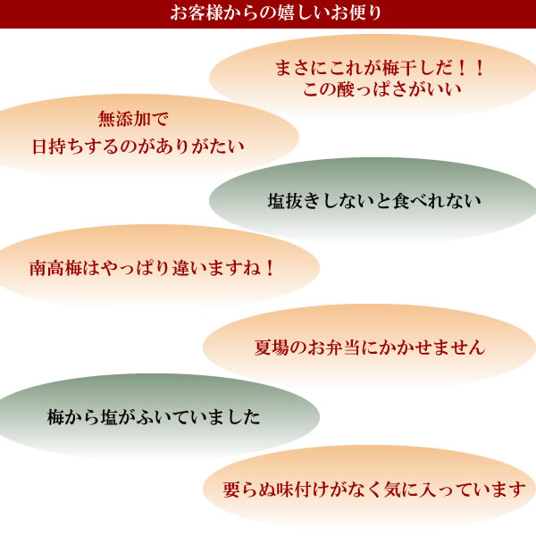 無添加の梅干し,冷蔵保存のいらない梅,梅肉エキス,紀州南高梅干通販の専門店 無添加梅干し- 深見梅店 -